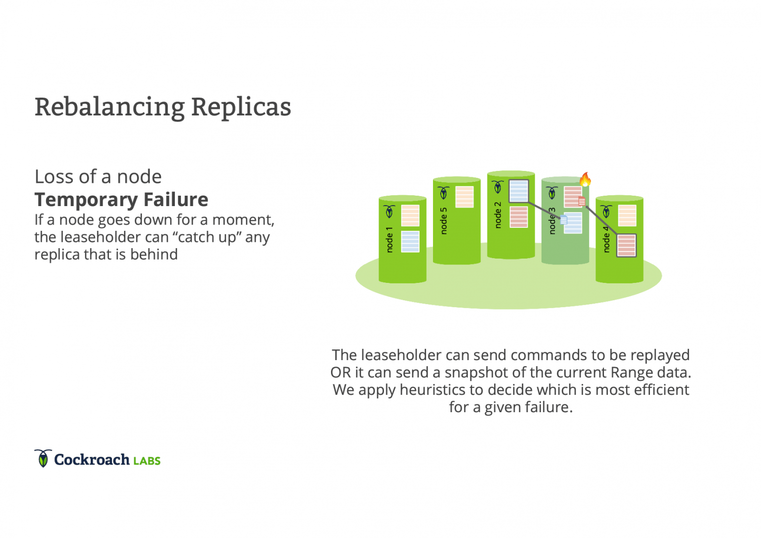 قصه سوسک، تاب‌آوری و Cockroachdb مهندسی داده