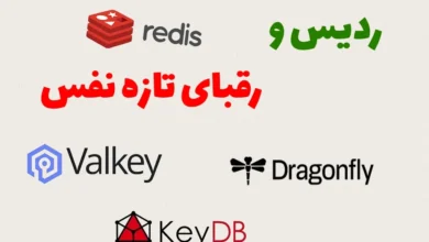 تصویر از آیا ردیس همچنان پادشاه حافظه‌هاست ؟ 👑